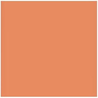 Lee Filters Surprise Peach 24x21 Gel Filter Sheet