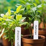 Zoom IMG-1 gungtj etichette per delle piante Zoom IMG-1 gungtj etichette per delle piante