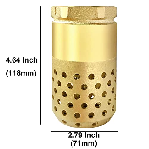 Brass Foot Valve, 2 inch NPT Spring Mesh Check Valve Female Connection