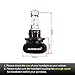 Auxbeam S1 Series H13/ 9008 LED Bulb Fanless with 2 Pcs of Super Bright CSP Bulb Conversion Kit 8000 Lumens 6000K Halogen Replacement