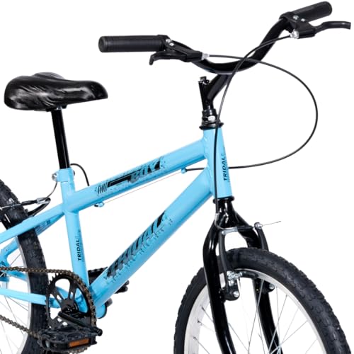 Bicicleta Infantil Aro 20 Tridal MTB Boy com Roda Lateral (Azul Céu)