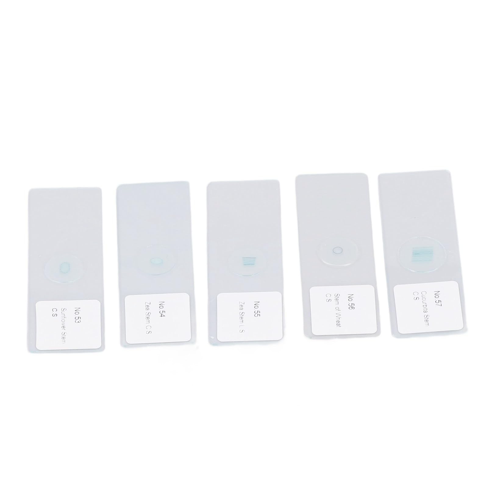 Cocoarm Portaobjetos de Microscopio, Portaobjetos de Microscopio en Blanco de Vidrio óptico, 100 Piezas de Borde Redondeado para Observación de Células Vegetales, Etiquetado Transparente y Caja de