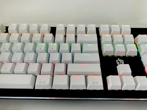 Teclas coreanas con perfil OEM ergonómico y tipografía translúcida para switch MX 7