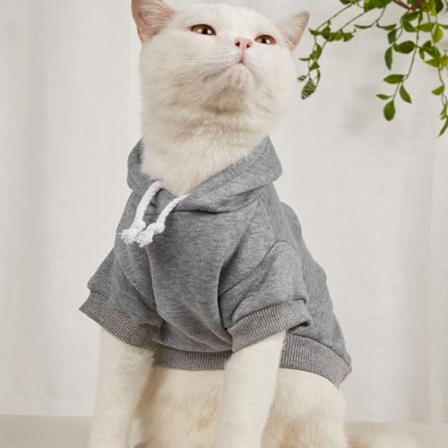 Keruidian Personalisierter Hunde Kapuzenpullover - Namens-Haustier-Kapuzenpullover - Personalisiertes Hunde-Sweatshirt - Welpenkleidung - Personalisierte Hundekleidung - Outdoor-Hundemantel (XS)