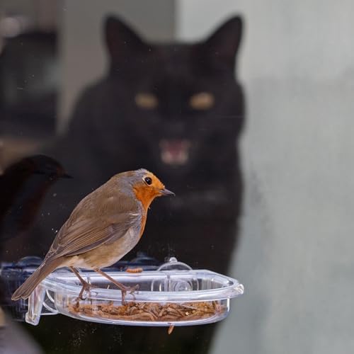 Zobacz karmę ptaków w zbliżeniu - tacka do przyrządzania 'I Love Robins' - naczynie do karmienia przyczepiane do okna