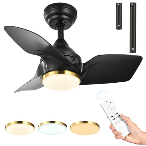 DWVO 26 Inch Ceiling Fans with Light and Remote, Small Modern Black Ceiling Fan with 3 Blades, 6 Speeds, 3 Colors Dimmable for Bedroom Patio Kitchen, DC Quiet Motor, Memory Function, Black