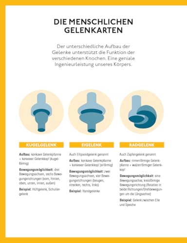 Fitte und starke Gelenke - ganzheitliches Handbuch mit den besten Übungen für gesunde Mobilität: Eine Anleitung für schmerzfreie und bewegliche Gelenke bei Arthrose, Rheuma, Gicht und Verletzungen