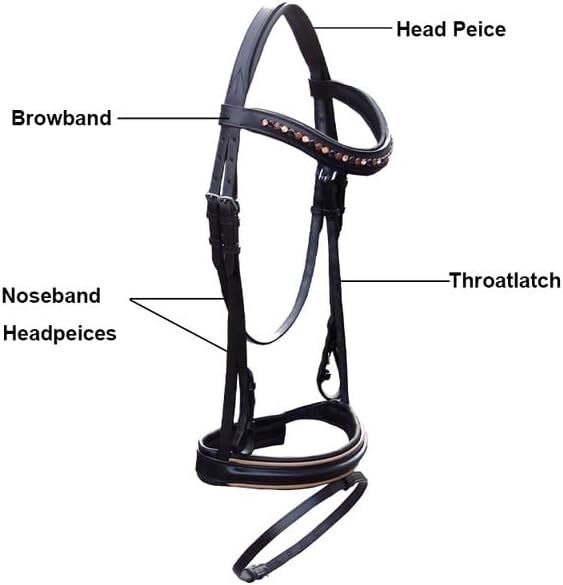 Leather Bridle for English Saddle Set | Plain Hunter Soft Padded Leather Bridle RSD Multicolor Diamond Center Available in Black, Brown, London and Chestnut Color