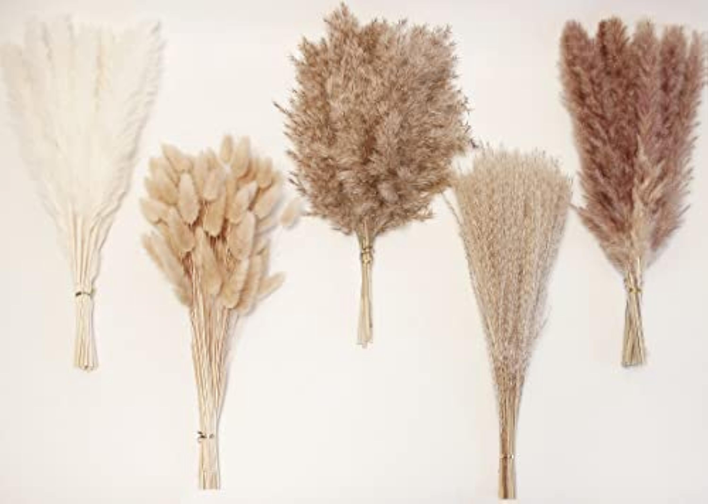110 Palitos de Pampas Grass con Flores Secas de Cola de Conejo Blancas, Flores Artificiales para Decoración de Baños, Decoración de Pared de Baño, Decoración de Oficina y Decoraciones para Baby Shower
