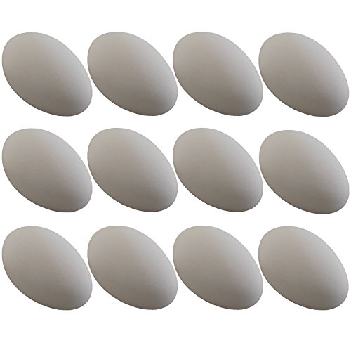 Rite Farm Products 12 Pack White Ceramic Dummy Goose Duck Nesting NEST Training Egg Hatching Craft