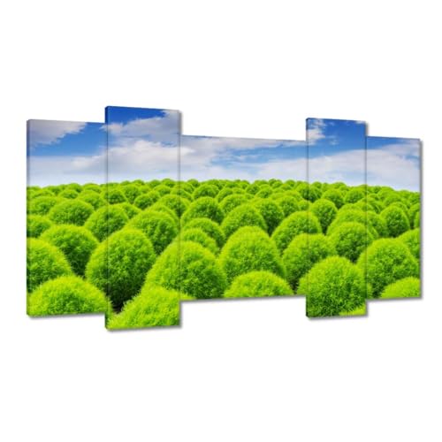 Peinture imprimée sur toile pour habiller un mur vide 120 x 65 cm Vallée verte H8314M_PC5CC