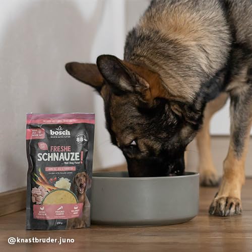 Bosch Freshe Schnauze, Huhn mit Reis und Karotten 8 x 250 g, Schonend Dampfgegartes Nassfutter für Hunde, Vollwertiges Alleinfuttermittel mit hohem Fleischgehalt, 8 x 250 g Hundenassfutter