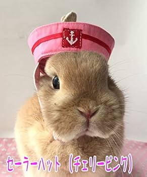 rurumu:うさぎ帽子 rurumu: 24AW usa-mimi flight cap 縷縷夢兎 - メルカリ