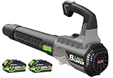 Leaf Blower with Brushless Motor, 580CFM/160MPH Leaf Blower Cordless, Electric Lightweight Blower with 2X4.0Ah Batteries and Charger, 2 Speed Modes, for Lawn Care, Patio Cleaning, etc.