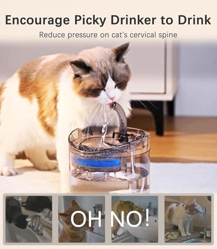 Image of iPettie Neverland Cat Water Fountain with LED Light, 67oz /2.0L, Ultra Quiet Drinking Waterer, Automatic Filtered Water Dispenser, Water Purifier for Pets, (Transparent)