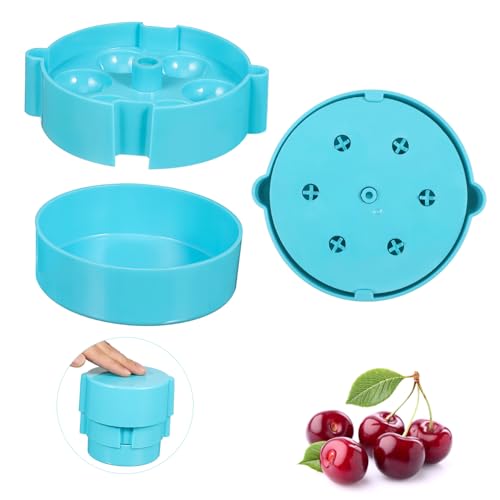 SOLUSTRE 6Hole Cherry Corer Tool Portable Cherry Pit for Quick De Pitting Lightweight Kitchen Gadget Easy to Clean for Fruit Preparation and Making