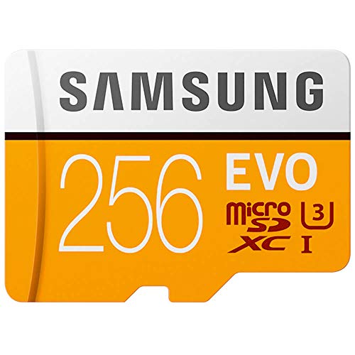 Samsung 256GB EVO V5 NAND microSD[J[hB