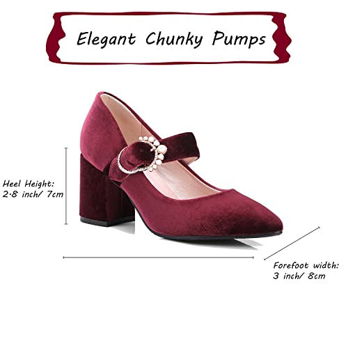 LEHOOR Women Chunky Heel Closed Pointed Toe Mary Jane Pumps Metal Buckle with Pearl Ankle Strap Mary Jane Heels Velvet Comfort Vintage Dress Shoes Block Heel Retro Bridal Party 4-11 M US2