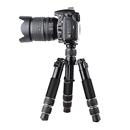 Linckry Kamerastativ für Smartphone Digitalkamera Protable Fotostativ Ministativ für Reisen Leichter Kameraständer – Bild 3