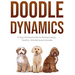 Doodle Dynamics Audiolibro Por Tyler Bradshaw arte de portada