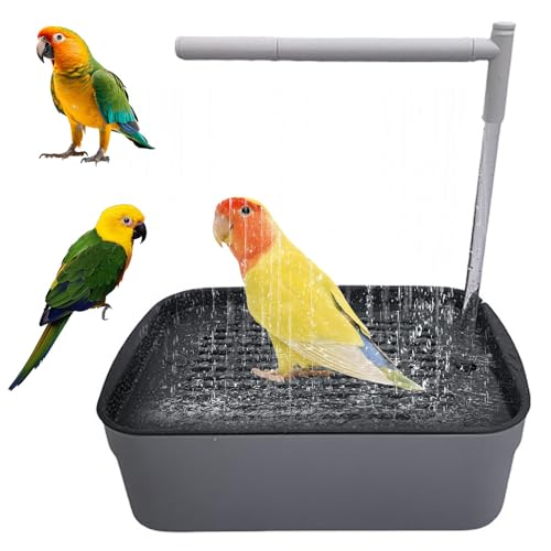 BIZOI Baignoire à Circulation d'eau pour Perroquet, Baignoire Automatique pour Oiseaux avec Douche d'eau Circulante Douche, Automatique Perroquet Douche pour...
