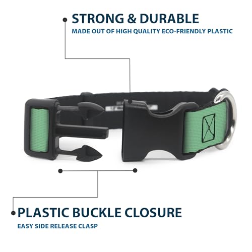 Collar Selva Verde Buckle Down para evitar escapes de perros pequeños con cierre rápido seguro 5