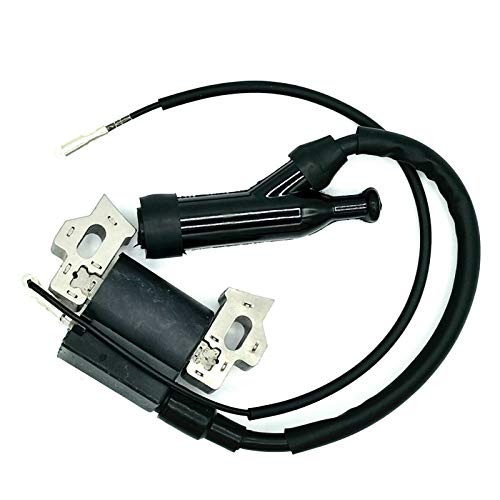 Ignition Coil Module Compatible with Champion Power Equipment 100251 Log Splitter 25 Ton -  BHABAGALUSHKI OZOZLINSH ZERO 250 LOUGFELTEY, 98494