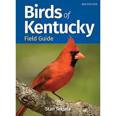 Birds of Kentucky Field Guide (Bird Identification Guides) Cover