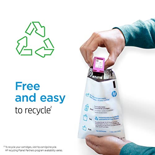 Original HP 67 Black/Tri-color Ink Cartridges (2-pack) | Works with HP DeskJet 1255, 2700, 4100 Series, HP ENVY 6000, 6400 Series | Eligible for Instant Ink | 3YP29AN