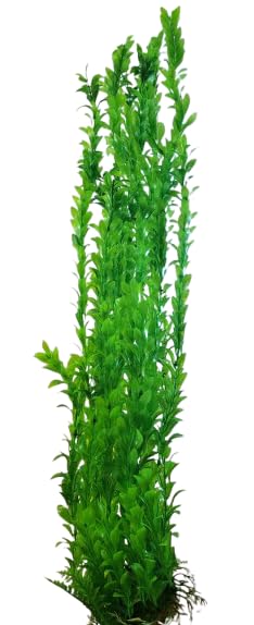Jumbo Bushy Aquarium, Pond Artificial Green Plant 75-80cm (30 Inch) Tall, Fish Tank Foliage Ornament | Plastic Aquascaping Decoration, XL Background Foliage, Helps Provide Coverage for Koi