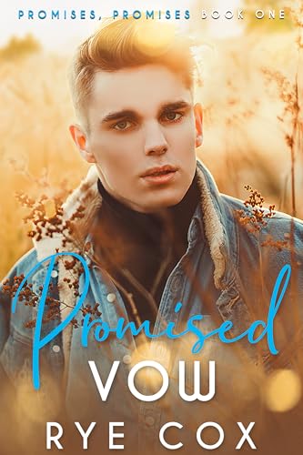 Promised Vow: A Fake Fiancés MM Romance (Promises, Promises Book 1)