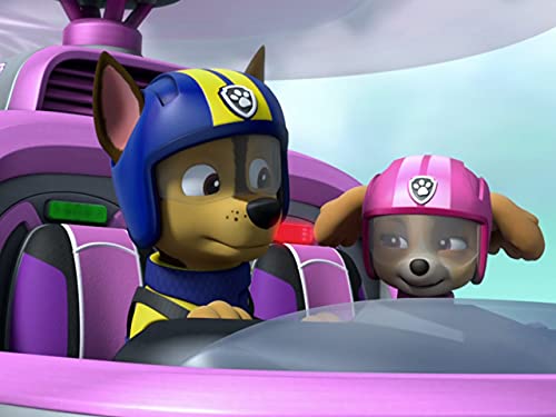 Ultimate Rescue: Pups Save the Mountain Climbers/Ultimate Rescue: Pup Save Captain Gordy