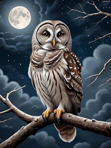 Kit d'art diamant hibou pour adultes, broderie 5D strass ronds, toile oiseau 30x40 cm