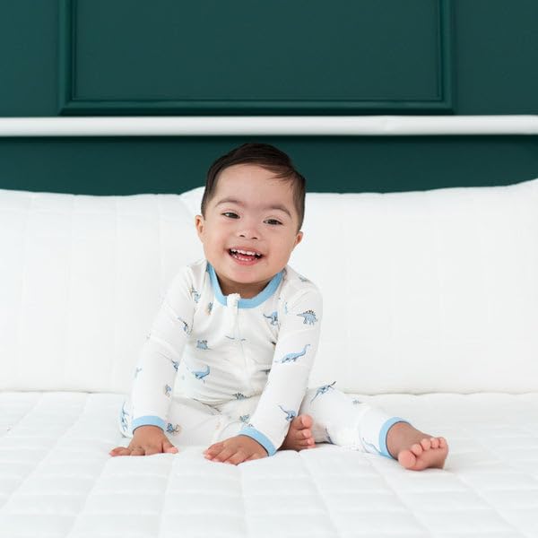 Kyte Baby Unisex Rayon Made From Bamboo Zippered Rompers (3-6 Months, Jurassic)