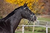 partes de la cabezada de montar Riendas de la web inclusivas Horse&Passion 920031/11651 Ashley Cabezada de Montar, Negro, Talla única