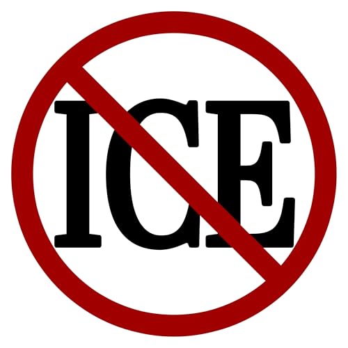 No Ice Allowed Ice Bumper Sticker Car Decal Anti Ice Large 5 Inch Sticker Car Truck Laptop