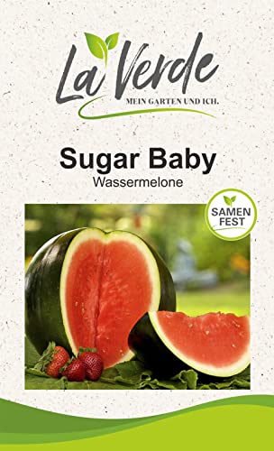 Sugar Baby Melonensamen Rot