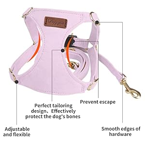 Puppytie No Pull Small Dog Harness with Multifunction Dog Leash,Lightweight Soft Adjustable No Choke Escape Proof Pet Harness Vest Pet Harness Vest,Light Purple,S Puppytie No Pull Small Dog Harness with Multifunction Dog Leash,Lightweight Soft Adjustable No Choke Escape Proof Pet Harness Vest Pet Harness Vest,Light Purple,S