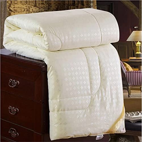 Edredón de seda natural para cama Queen King edredón de invierno Haitpant 5