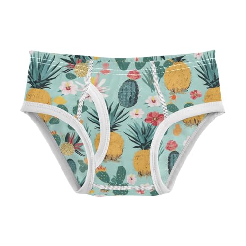 Wusikd Cacti Pineapples Boys' Underwear Cotton Flowers Boys Briefs Soft Toddler Underwear 2T