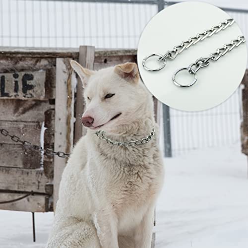 Collier chien acier chromé solide et lisse