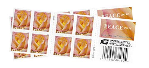 My Postage Stamps Business Envelope Matching Peace Rose Postage Stamps (2 Booklet - 40 Stamps)