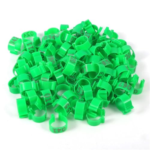 Bandas para corral numeradas de plástico 16 mm para gansos y pollos