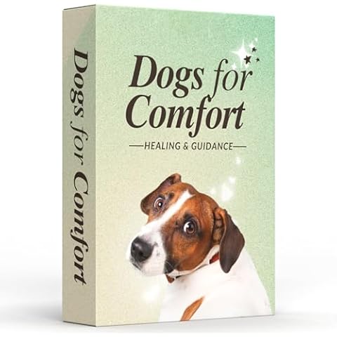 CATCHYOURDREAMS Comfort Affirmations Cover