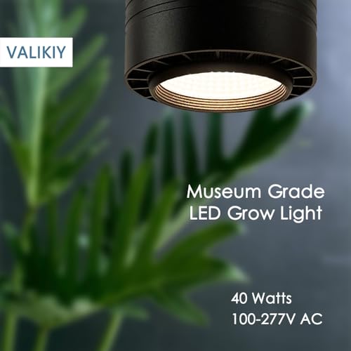 Hanging Grow Light 40W Large, Full Spectrum Warm White Color, with Timer, Plug-in Pendant Grow Lights with 15FT Fabric Power Cord, Decorative Light for Indoor Plants, Flowers