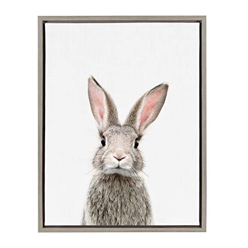 Kate and Laurel Sylvie Female Baby Bunny Rabbit Animal Print Portrait Framed Canvas Wall Art by Amy Peterson, 18x24 Gray by Kate and Laurel - Used condition - US$23.92