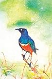 Notes: Superb Starling Bird In Tanzania - Blank College-Ruled Lined Notebook (Student Animal Journals for Writing Journaling & Note-taking, Band 148)