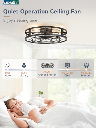 Image of LEDIARY 26 inch Caged Ceiling Fan with Light and Remote, Low Profile Flush Mount Fandelier, Black Bladeless Enclosed Small Fan Lights Ceiling Fixtures, Rustic Farmhouse Style for Bedroom, Outdoor