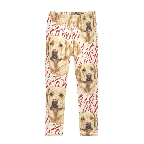 Golden Candy Dog Girls Leggings Athletic Pants Tights Stretch Bottom