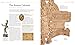 Ancient Rome: The Definitive Visual History (DK Classic History)